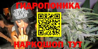 PSILOCYBIN Новозыбков