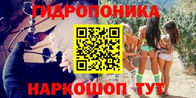 мдпв Новодвинск