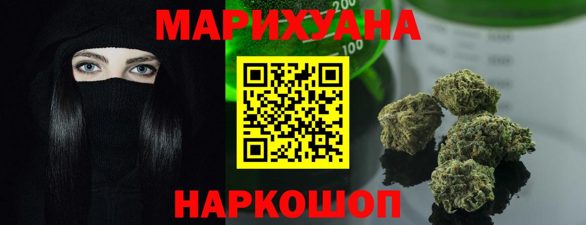 Конопля сатива Удомля
